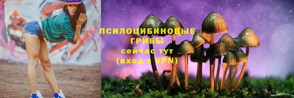 спиды Покачи