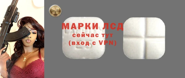 спиды Покачи