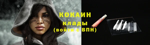 спиды Покачи