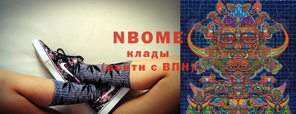 сатива Пестово