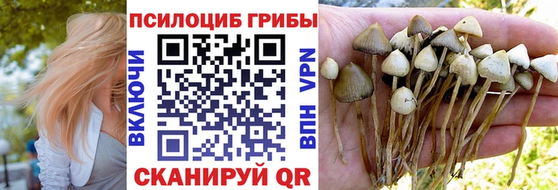 Купить где  Семёнов  Псилоцибиновые грибы Psilocybine cubensis 